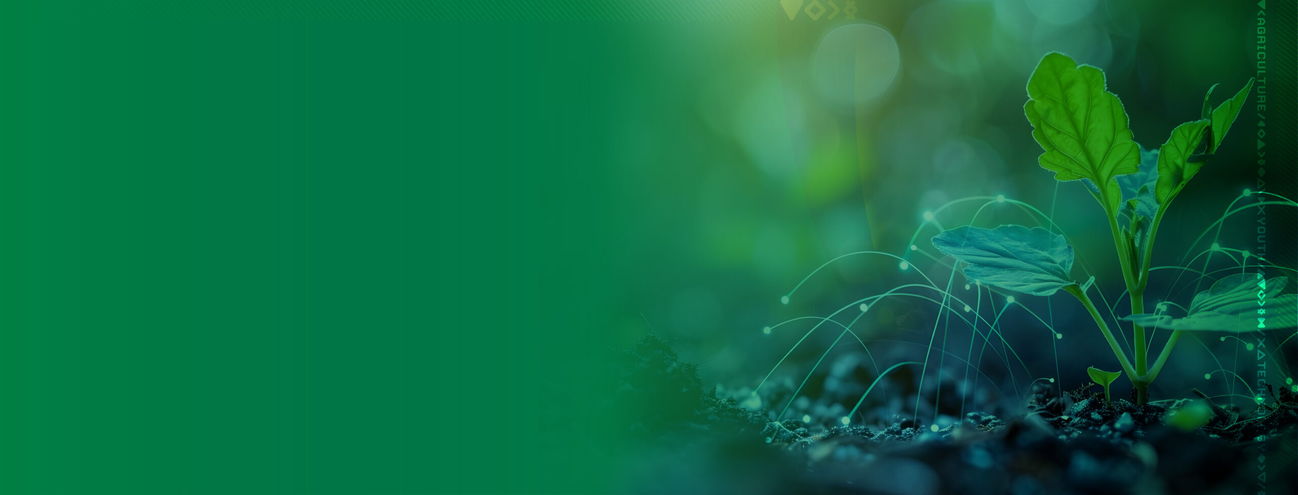 AYuTe Website Banner image -03